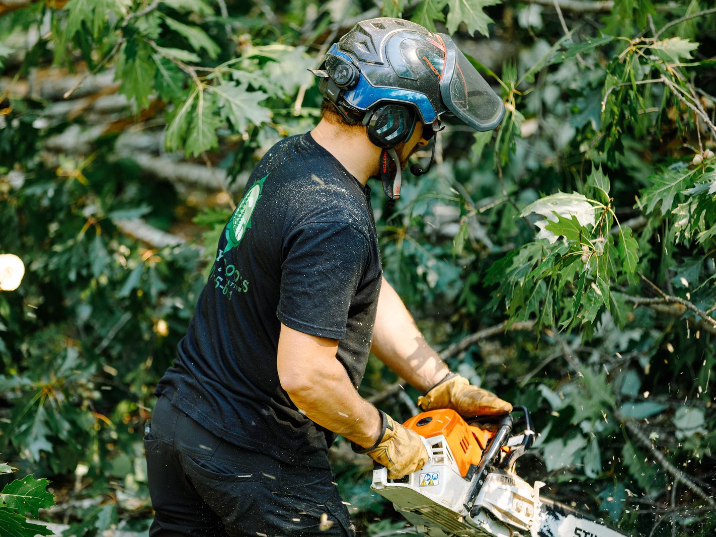 Tree service